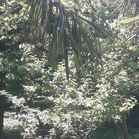Rey 2 Bed & Breakfast Nabran Luaran gambar